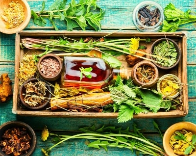 Energy Boosting Herbs and Plants